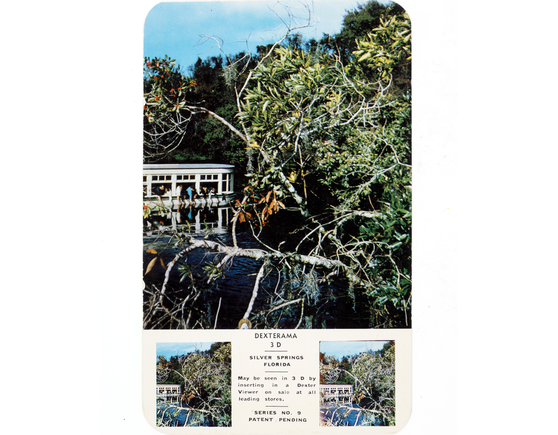 Front of postcard with stereoviews on bottom and enlarged view above. A boat on a river in Silver Springs, Florida, with passengers dipping hands into water to feed the fish.